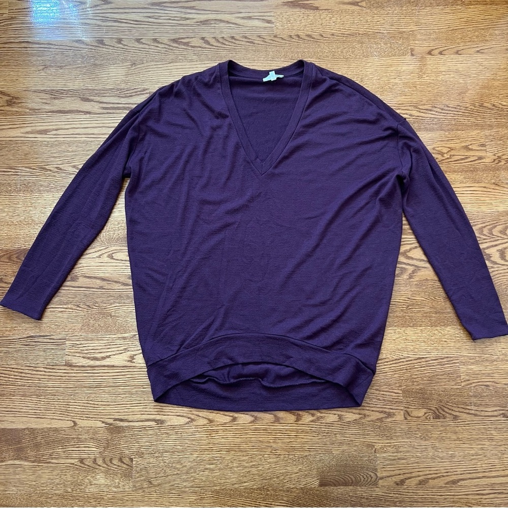 Aritzia Wilfred Free Burgundy V-Neck Longsleeve